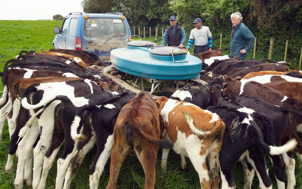 ‘Enough is Enough’ say Island Dairy Farmers IslandMP
