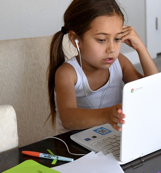 A kid learning online education in laptop